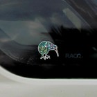 Picture 3 of 6
