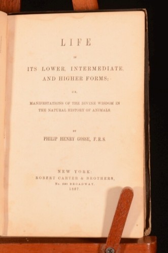 1857 Life in it's Lower, Intermediate and Higher Forms Philip Henry Gosse - Picture 3 of 5