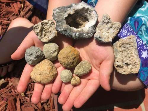 Lote de 5 LB GEODAS Explore Discover Fossil GEODAS PEQUEÑAS .5-4" IN Niños Tamaño Palma Diversión - Imagen 3 de 10