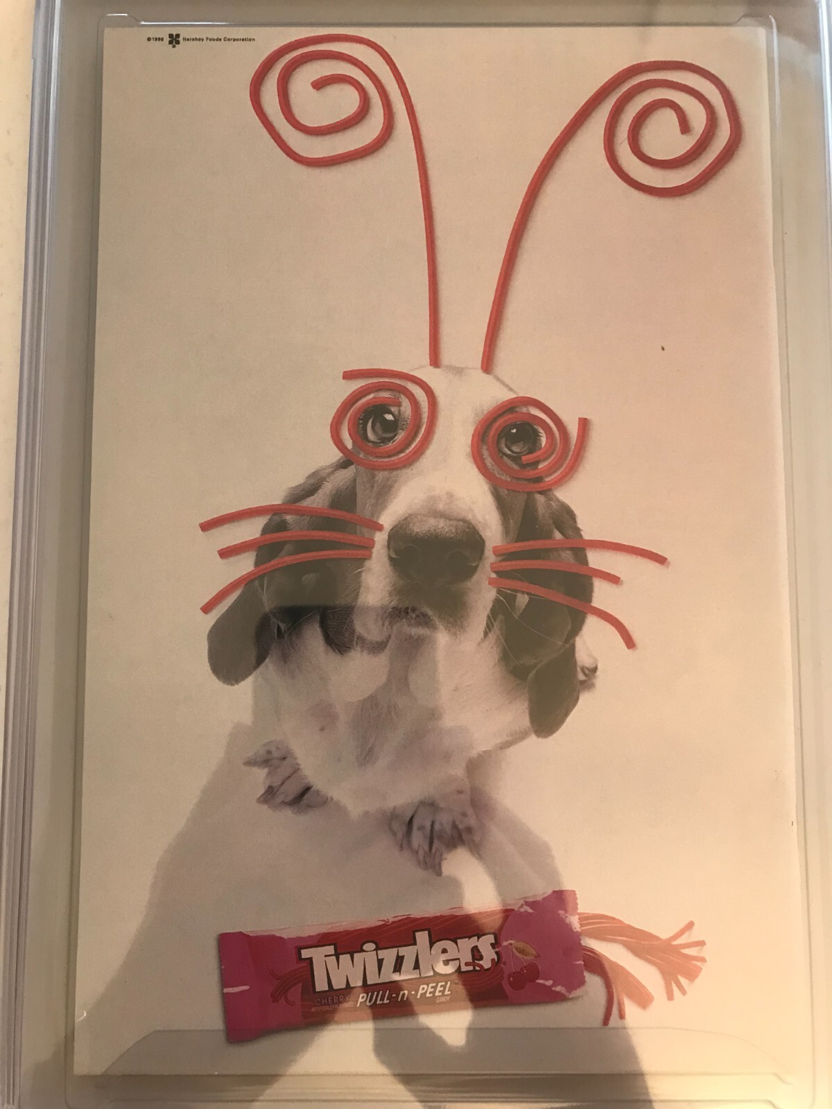 Foto 7 di 7