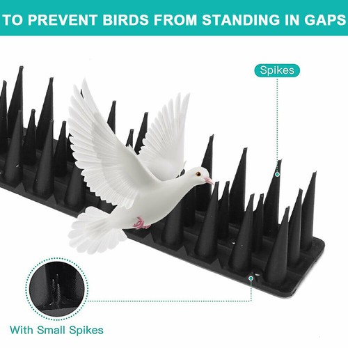 10/20M Bird Spike For Pigeon Deterrent Fence Wall Window Ledge Cat Anti Climb UK - Picture 9 of 22