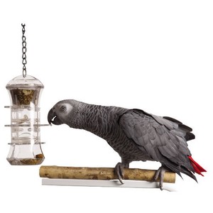 bird puzzle feeder