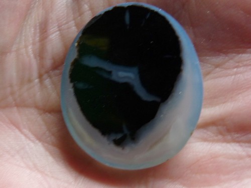 Large *Agate* - Cabochon - Blue Forest Petrified Wood - Picture 8 of 9