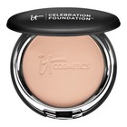 Pressed Powder Sheer Face Powders with Shine Control
