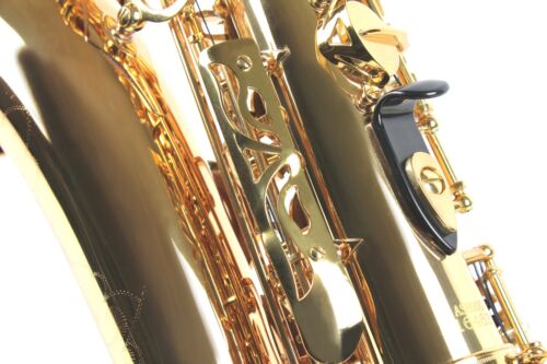 Professional Quality ALTO SAXOPHONE Eb Sax 875 Model with nice case! Brand NEW - Picture 11 of 14