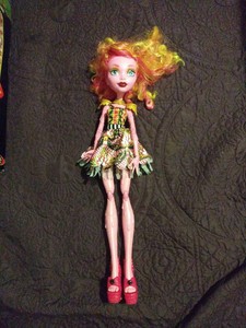 18 monster high doll