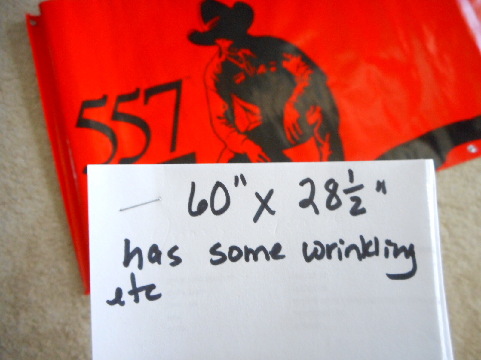 Picture 11 of 11