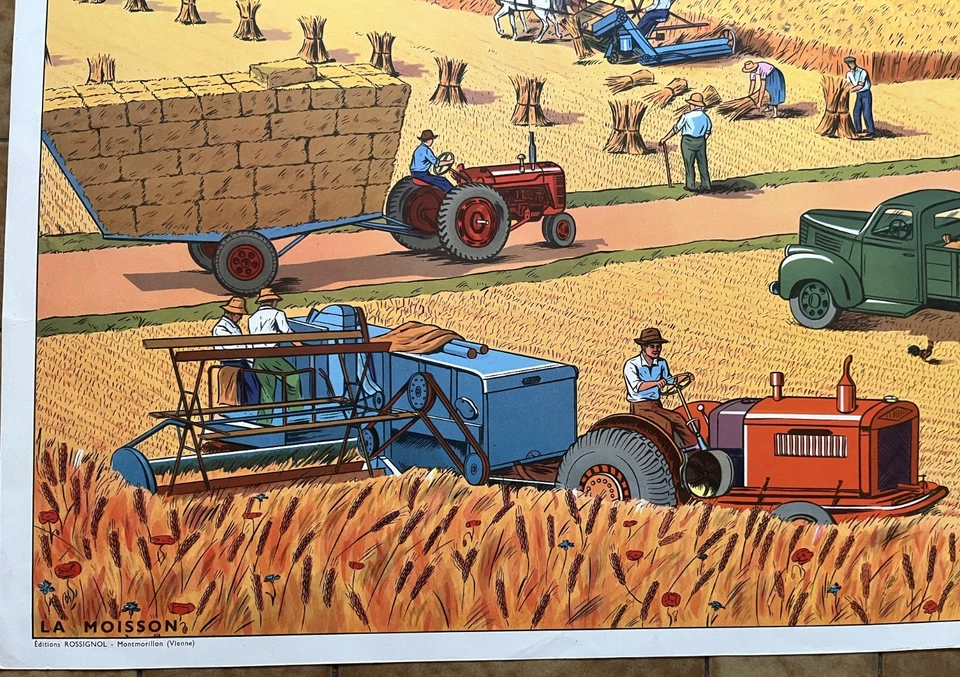 🚣♀️ Ancienne affiche scolaire Rossignol, 1950 - La rivière (pêche) / Moisson - Photo 4/4