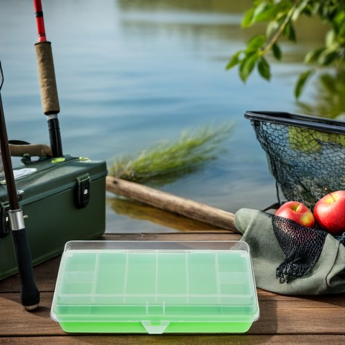  Scatola porta esche da pesca: mini organizer trasparente bifacciale per esche - - Foto 11 di 12