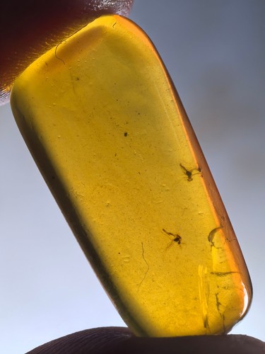 10 Stück Authentisches Myanmar Insekt Bernstein Exemplar Fossil Dinosaurier Alter 9,9-17 - Bild 4 von 12