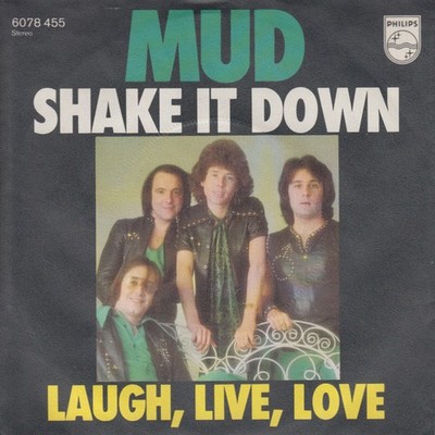 Mud - Shake It Down Rock Pop Rock Vinyl 51786