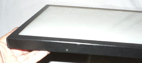 Durchsichtig Deckel Polsterung Vitrine Etui Stifte Schmuck Messer Insekten 16"x12" - Bild 3 von 4