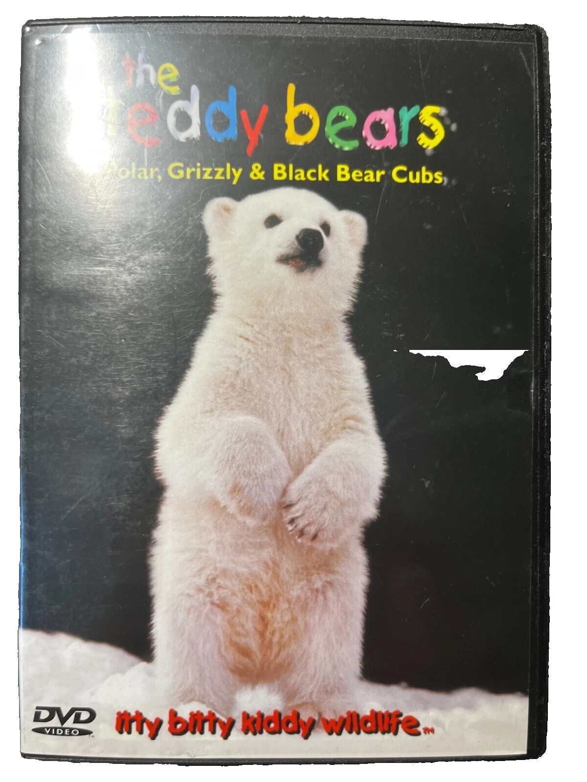 Box Set Grizzly Educational DVD y Blu-ray