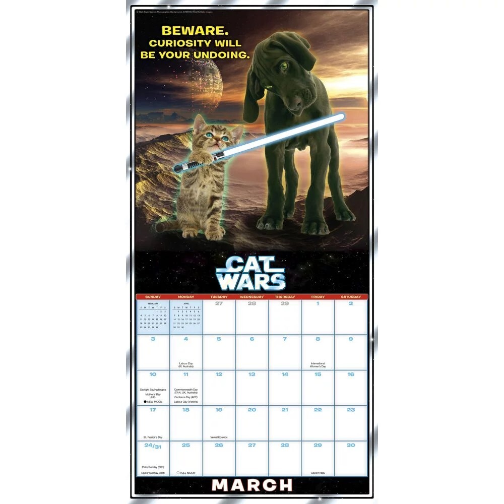 cat-wars-in-a-galaxy-not-far-away-cats-rule-2024-calendar-ebay