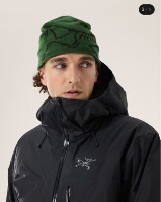 ARC'TERYX Bird Head Toque Eden Black Hat Beanie Knit Cap