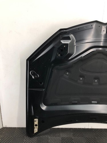 MOTORHAUBE Lamborghini Urus SUV 4.0 V8 (DHU(Euro 6)) 2022 4ML010515A - Bild 5 von 9