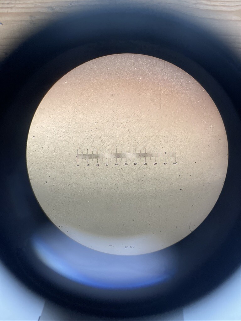 Picture 9 of 12