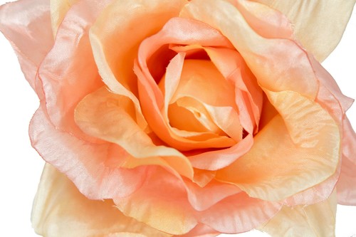 Silk Rose Fascinators Hat Making DIY Craft Millinery Many Colors 100% AU Seller - Bild 2 von 14