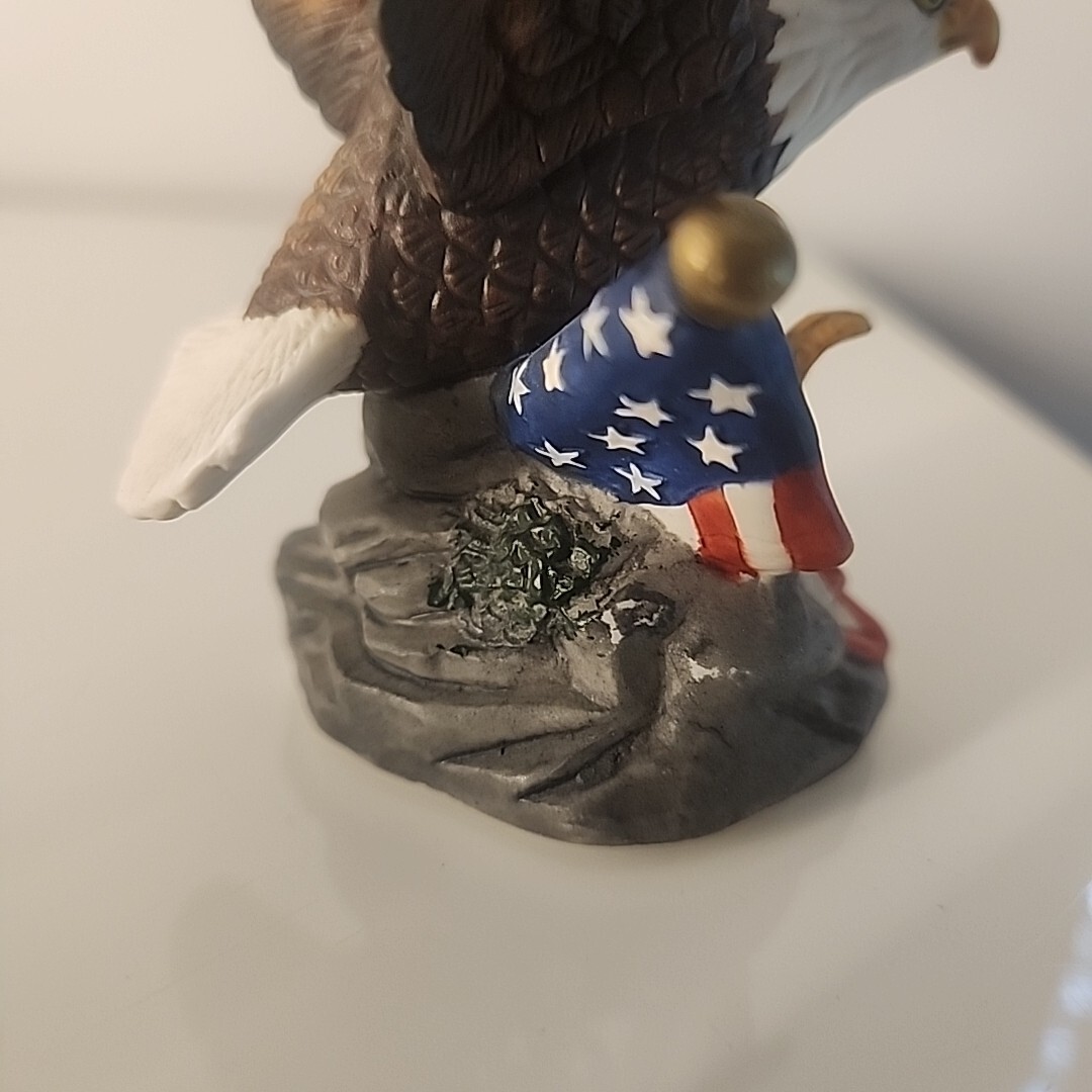 Picture 5 of 12
