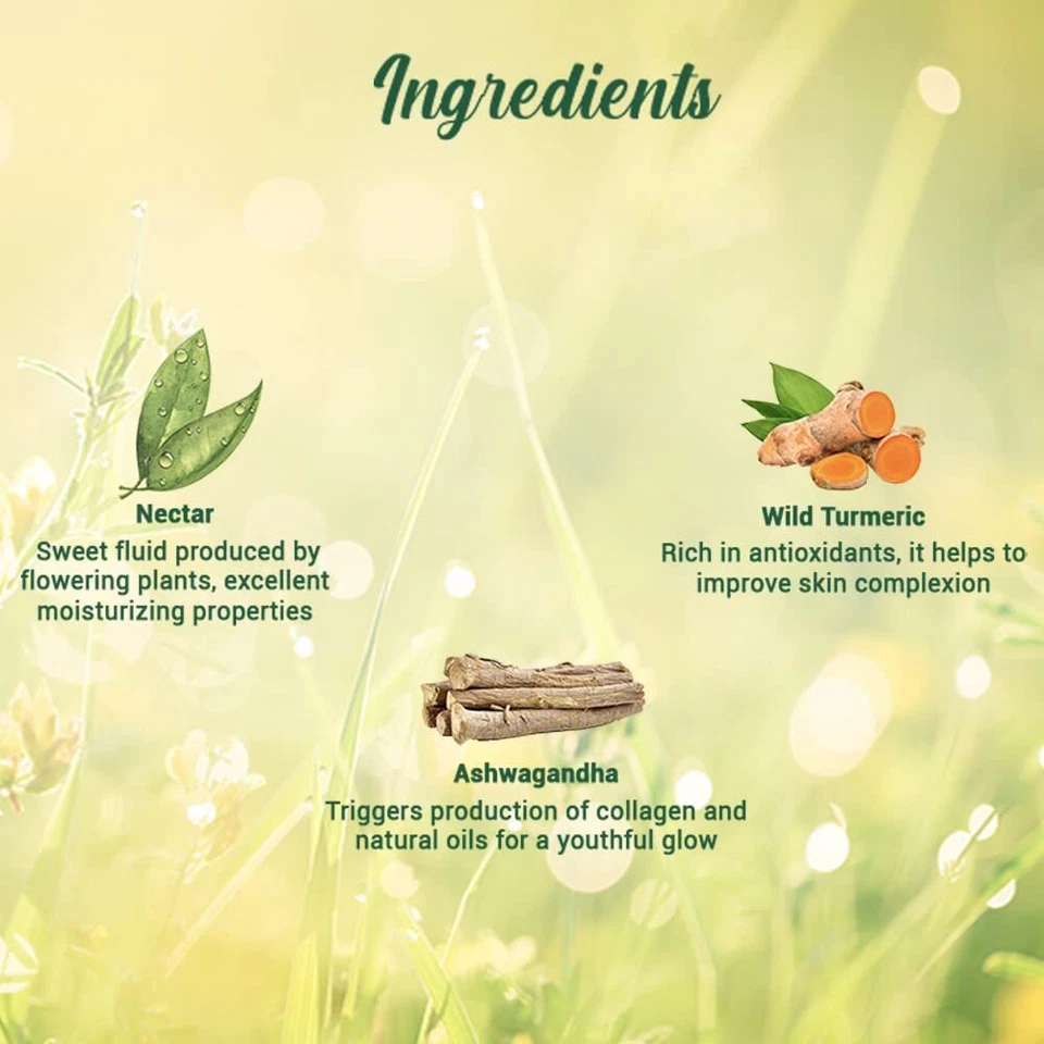 Biotique Morning Nectar Flawles Skin Moisturizer Lotion Prevents Dark Spot 190Ml - image 3 of 4