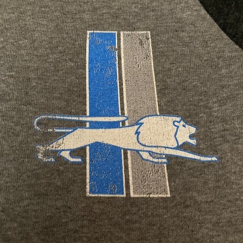 *NWT* DETROIT LIONS Fanatics VINTAGE LOGO Gray NFL Raglan Hoodie (Women's M) - Picture 3 of 6