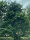 Bild 7 von 10