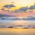 sunshineandthyme