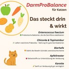Bild 7 von 15
