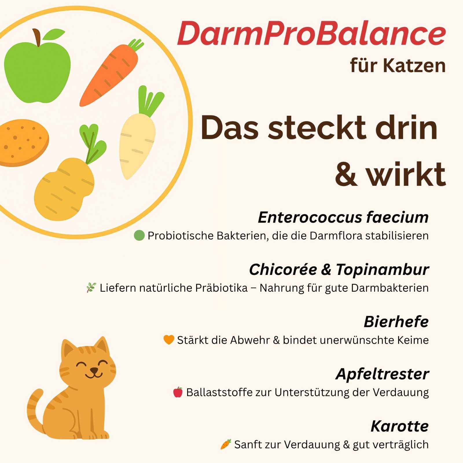 Bild 7 von 15