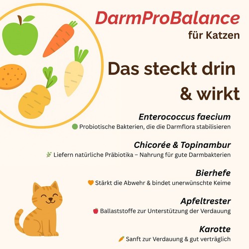 DarmProBalance für Hunde und Katzen-Prä- und Probiotika für Verdauung, Durchfall - Bild 7 von 15