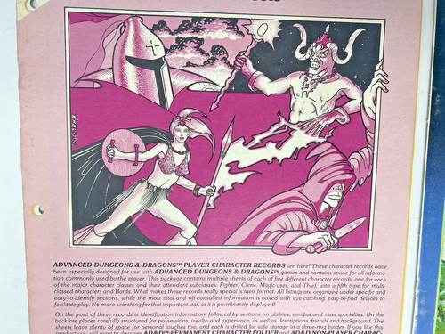 Hojas de registro de personajes Advanced Dungeons & Dragons AD&D Player 9028 - Imagen 4 de 17