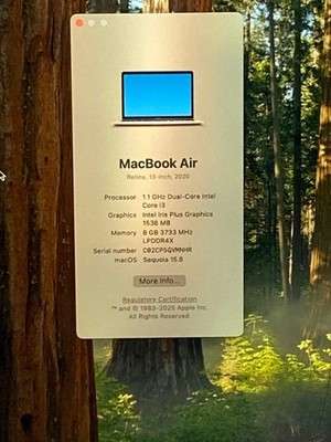 2020 Apple MacBook Air 13.3