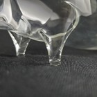 Foto 11 di 24