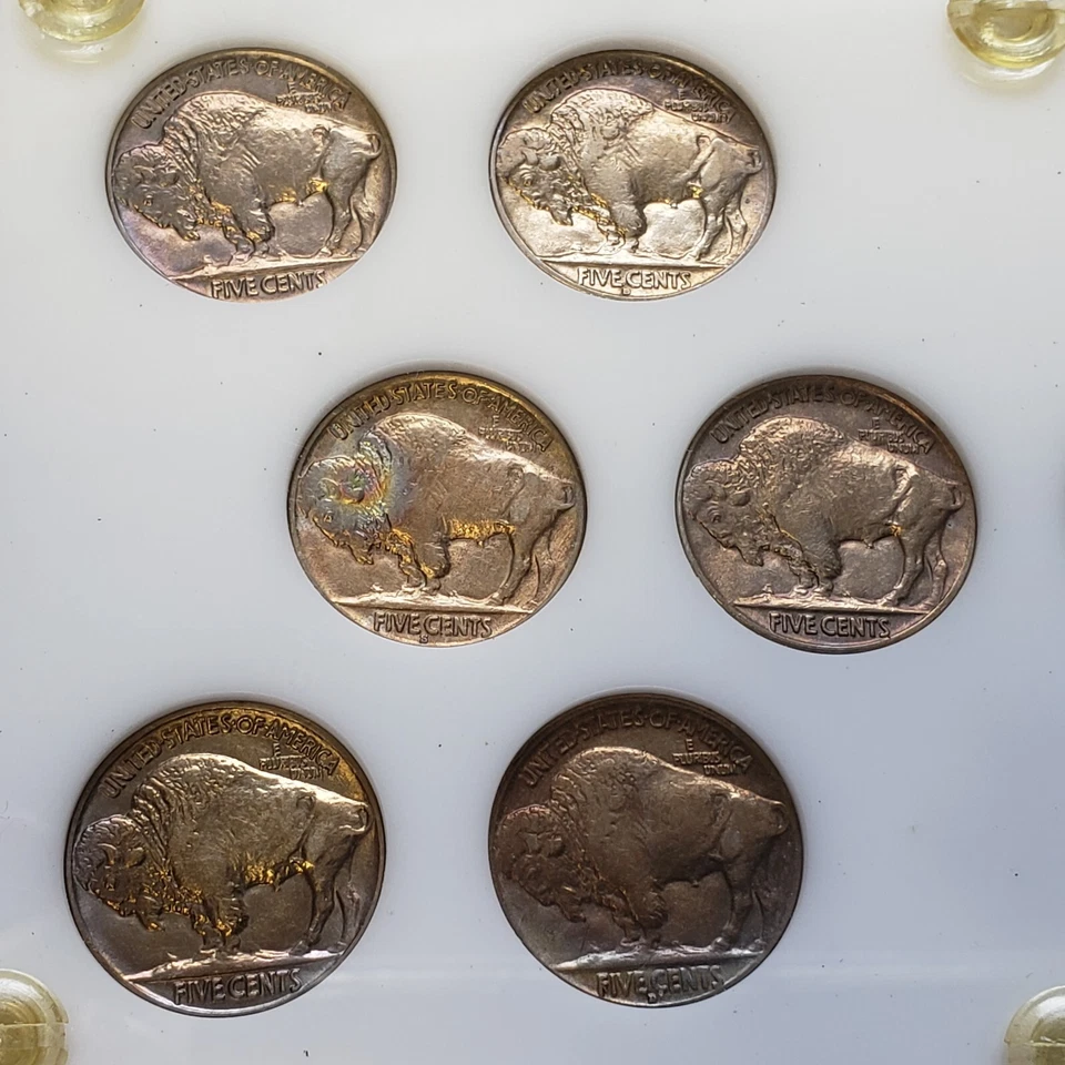 1934-38 Indian Buffalo Nickel Set - Rainbow Toning - Capital - VIDEO - F7018 - Image 4 of 4