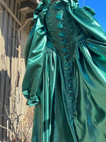 Puff Sleeves Satin High Quality Simple Evening Dresses Lace-up Floor Length - Picture 8 of 14