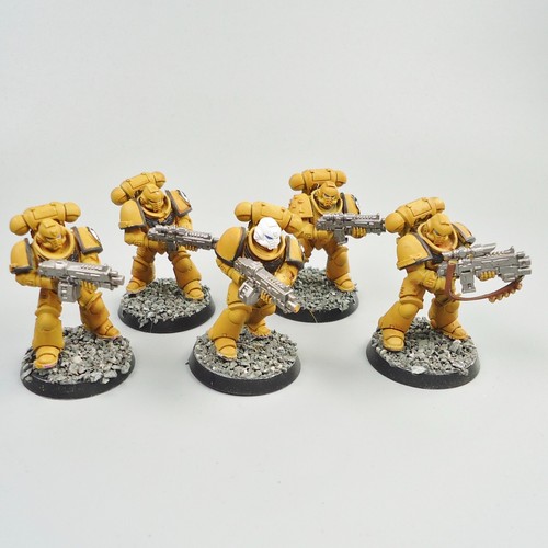 Imperial Fists Primaris Intercessors x5 Painted Warhammer 40k Army Space Marines - Picture 2 of 4