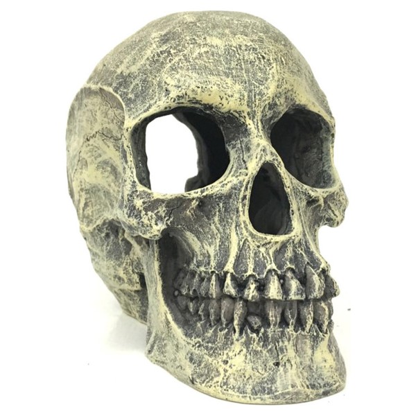 Aqua Della Totenkopf Dekoration 16X10,5X13,2 Cm FüR Aquarium Zierfische-image