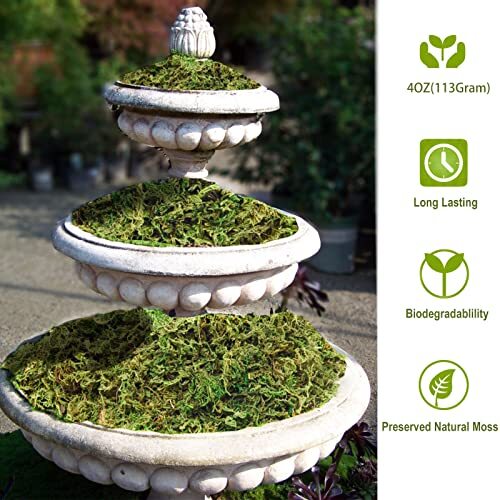 Fake Moss Artificial Moss for Potted Plants Greenery Moss(4OZ) Home Decor - Picture 3 of 7