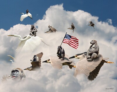 Beautiful composite photograph mounted on board. Ape Force color. NOT AI.