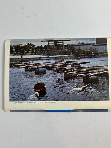 Vintage Sea World Mission Bay Park San Diego Kalifornien Delfin Postkarte Ordner - Bild 7 von 7
