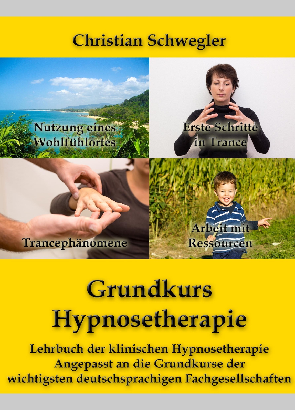 Christian Schwegler | Grundkurs Hypnosetherapie | Taschenbuch |
