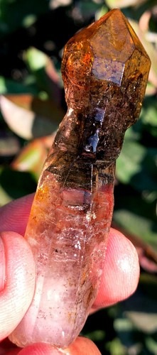34g SCEPTERS! Diamond! Super Seven Skeletal Hair Amethyst Quartz Crystal ie3418 - Picture 8 of 15