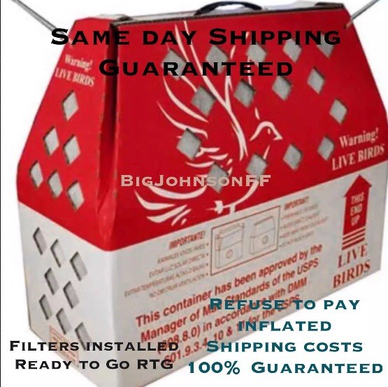 3 Horizon Shipping Boxes for Live Birds 3 Pack Chicken Poultry SHIPS FAST