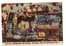 mini souvenir card Buckhorn Curio Sore Museum San Antonio,Tx  taxidermy advertis