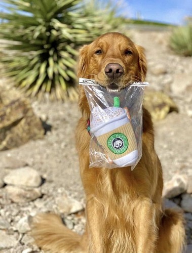 Star Pups Kaffee Hundespielzeug-lustiges Plüsch Pup’kin Spice Latte mit Quietscher, Geschenk für D - Bild 5 von 5