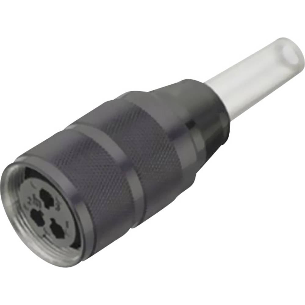 Cosse cylindrique mâle femelle Binder 09-0038-00-05 droit