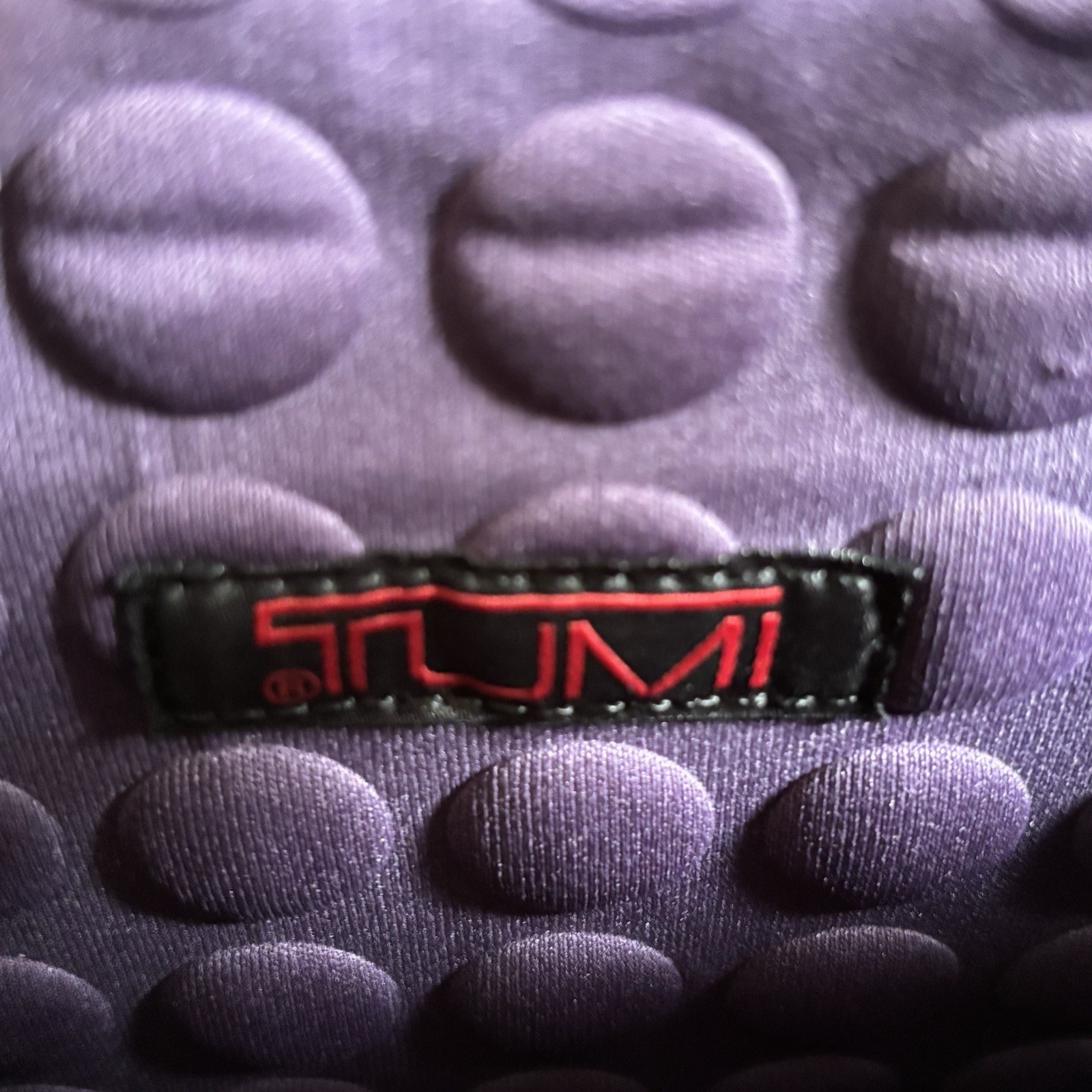 Picture 6 of 6