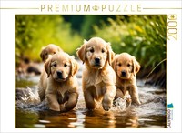 Calvendo Puzzle Golden Retriever Puppies | 2000 Pieces, Finished Size 35.4 × 26.