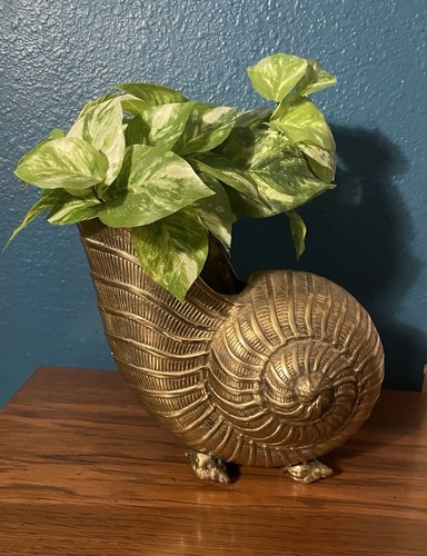 Fioriera Nautilus vintage metà secolo moderna piedi ottone pesante conchiglia - Foto 3 di 9