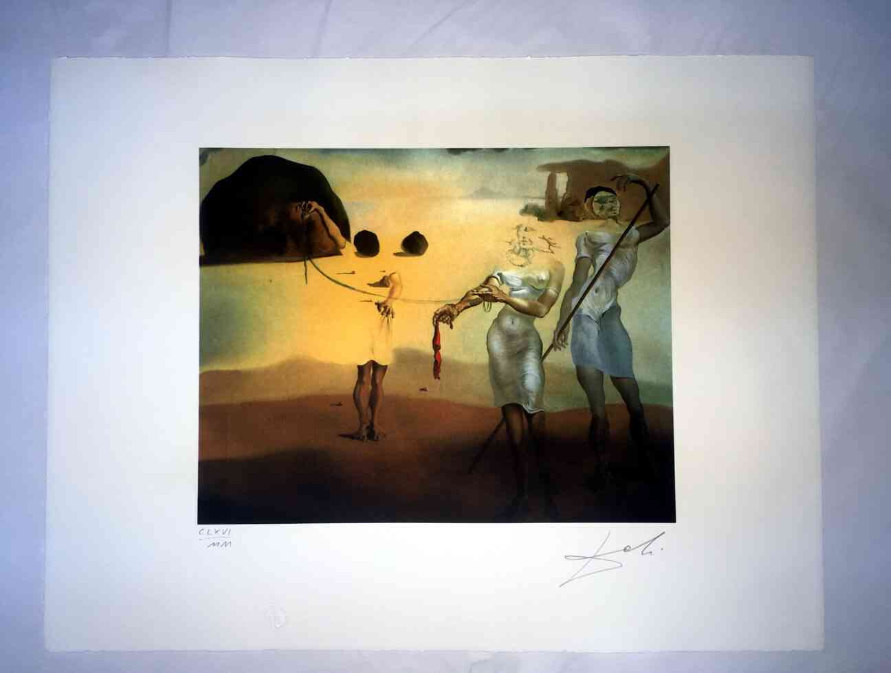 Picture 1 of 7